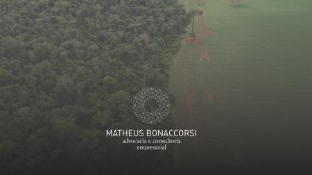 Licença Ambiental Especial (LAE): regulamentação pela MP 1308/2025